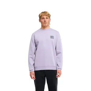 Sweatshirt Billabong Foundation CR image-1