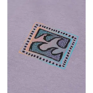Sweatshirt Billabong Foundation CR image-3