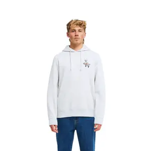 Hooded Sweatshirt Billabong Foundation PO image-1