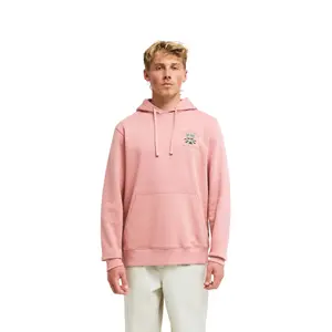 Hooded Sweatshirt Billabong Foundation PO image-1