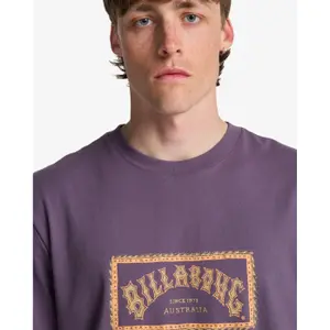 T-shirt Billabong Arch Frame image-4