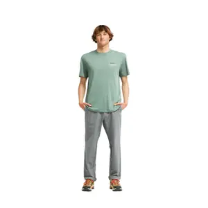 T-shirt Billabong Fauna image-2