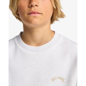 Sweatshirt child Billabong Arch Cr image-6
