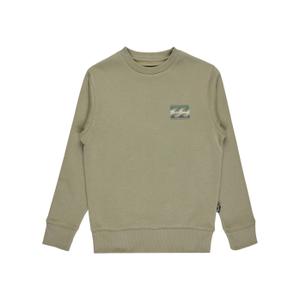 Sweatshirt child Billabong Foundation Cr