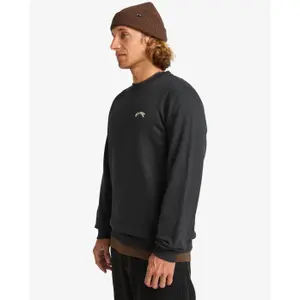 Sweatshirt Billabong Arch Cr image-4
