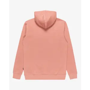 Hoodie Billabong Arch Po image-1