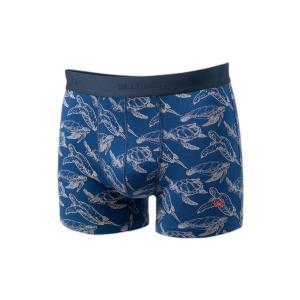 product/b/i/billybelt_bo67_blue_1.jpg