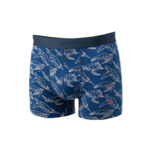 bo67-boxer-billybelt-turtle-twist-blue