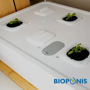 Verschluss Bioponis (x10) image-1