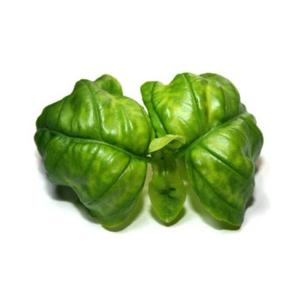 product/b/i/bioponis_bio30105g_marron_2.jpg