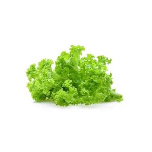 product/b/i/bioponis_bio30143g_vert_2.jpg