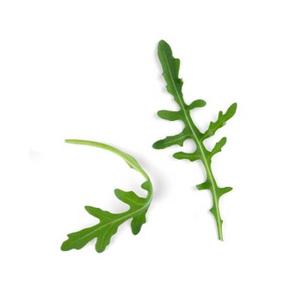 Nutriment de potager Bioponis Marocaine (x5) image-1