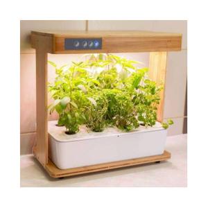 bio34003-vegetable-garden-bioponis-bamboo-395x215x393-mm