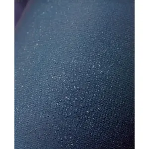Women's triathlon suit Bioracer Icon image-2