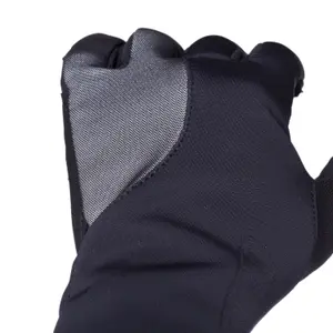 Mittens Bioracer One Tempest Protect image-1
