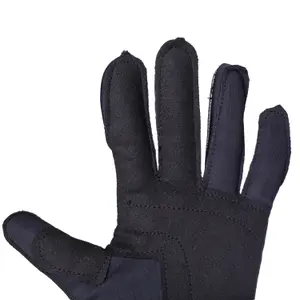 Mittens Bioracer One Tempest Protect image-2