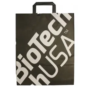 Saco de papel Biotech USA image-0