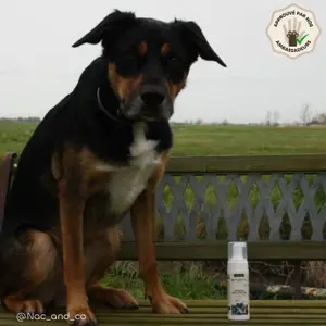 Geruchshemmende Mousse Biovetol image-3