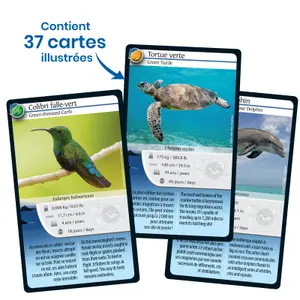 Nature challenge board games - saint barthélémy Bioviva image-3