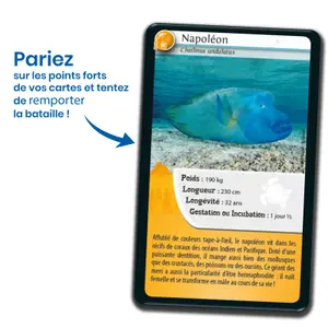 Nature challenge board games - new caledonia 1 Bioviva image-3