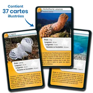 Nature challenge board games - new caledonia 1 Bioviva image-4