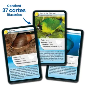 Nature challenge board games - new caledonia 2 Bioviva image-4