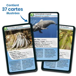 Jeux de société challenges nature - la réunion Bioviva image-3