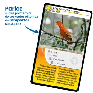 Jeux de société challenges nature - guyane Bioviva image-2