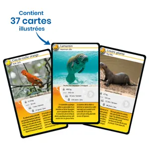 Jeux de société challenges nature - guyane Bioviva image-3