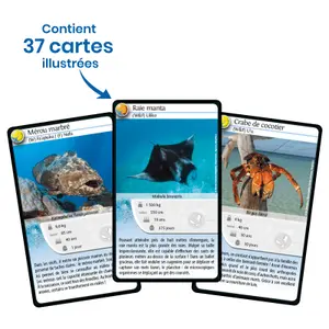 Nature challenge board games - wallis and futuna Bioviva image-3