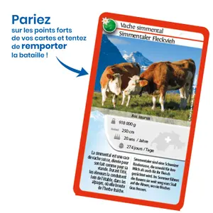 Nature challenge board games - Switzerland Bioviva image-2