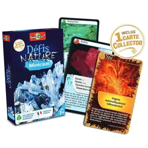 Nature challenges - minerals Bioviva image-1