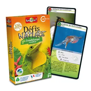 Educatieve spellen voor kinderen Bioviva Guadeloupe image-1