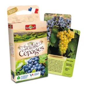 Board games le jeu des cépages - pegboardable version Bioviva image-2