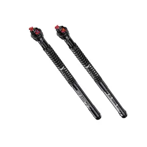 Kartuschen-Motorgabel Bitubo