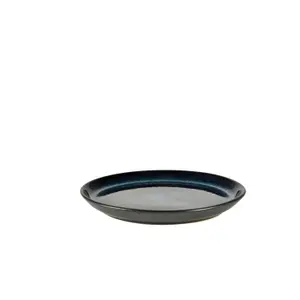 Plaat Bitz Gastro image-2