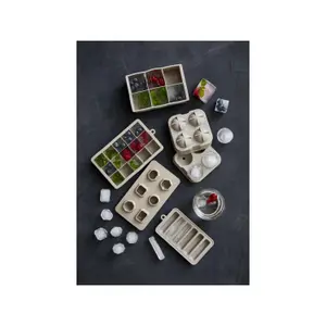 Moule à glaçons petit Bitz image-4