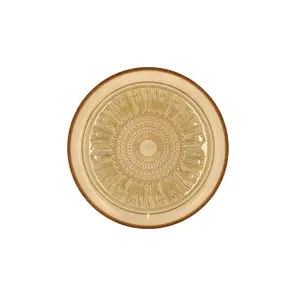 Placa de vidrio Bitz Kusintha image-1