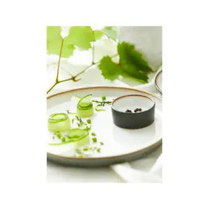 Piatto Bitz Gastro image-3