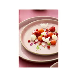 Piatto Bitz Gastro image-1