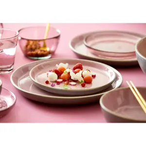 Piatto Bitz Gastro image-4