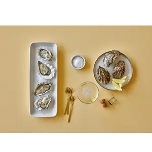 Plate Bitz Gastro (x6) image-6