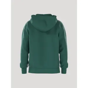Hooded Sweatshirt Björn Borg Essential image-1
