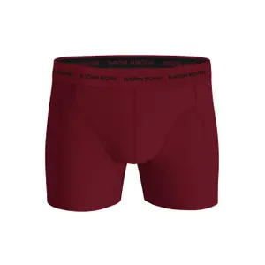 Dehnbare Baumwoll-Boxershorts Björn Borg (x9) image-4