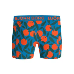 Μπόξερ Björn Borg (x3) image-2