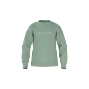 10004152-gn221-pullover-kind-bjorn-borg-essential-3-frostig-grun