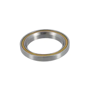 Lager Black Bearing B19 image-0