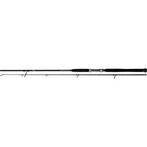 Spinning rod Black Cat Solid 40-160g image-0