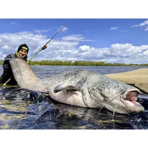 Cane Black Cat Perfect Passion XH-S 350g image-3