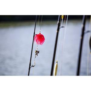 6244162-se-uelo-para-siluro-black-cat-real-worm-rosa-160-g